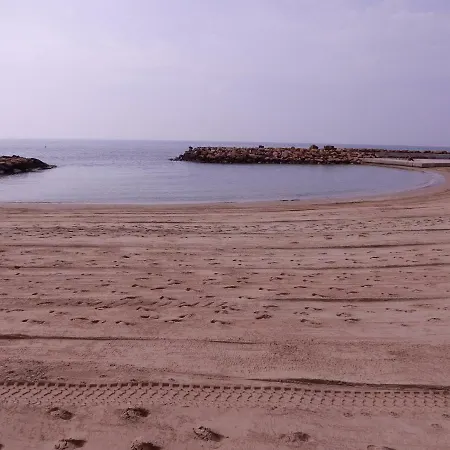 Edificio 1º Linea De Playa, En Paseo Maritimo De Torrevieja, Alicante, Costa Blanca Daire *