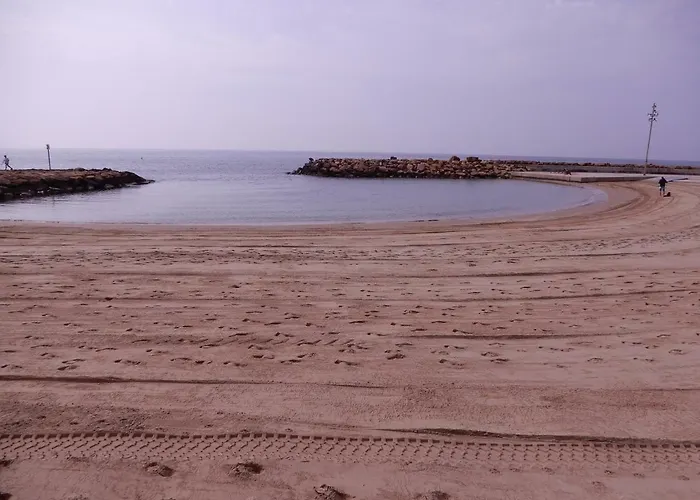 Edificio 1º Línea De Playa, En Paseo Marítimo De Torrevieja, Alicante, Costa Blanca Apartamento *